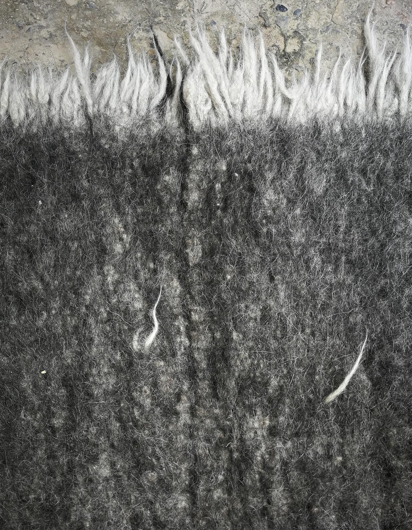 Rug, Rhadi 03