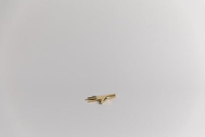 Hand Paperweight, Polished Brass