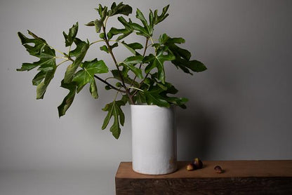 Extra Large Cylindrical Ceramic Vase, White, handmade by Jenn Johnston