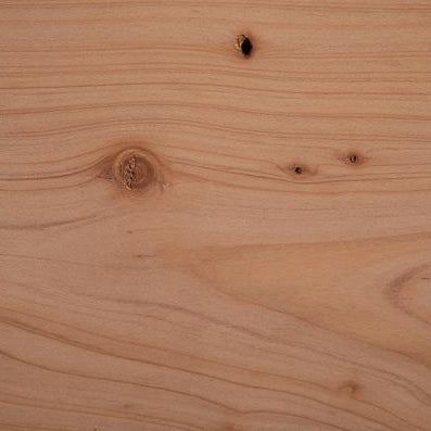 Close-up of a wooden surface with visible grain and knots
